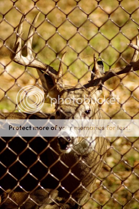 French Creek Game Farm